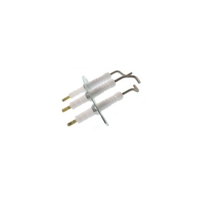 Poza Electrozi aprindere + ionizare Bosch Condens 2500W 87376007950. Poza 15540