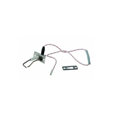 Poza Electrod aprindere Ariston Alteas One, Genus One si Clas One. Poza 8905